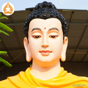 Tượng Phật Bổn Sư Thích Ca Mâu Ni đẹp